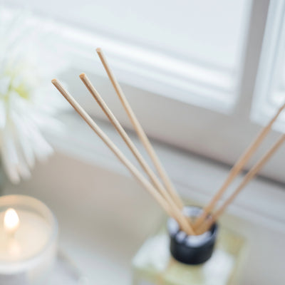 Revelation Reed Diffuser - Face Matters Skincare