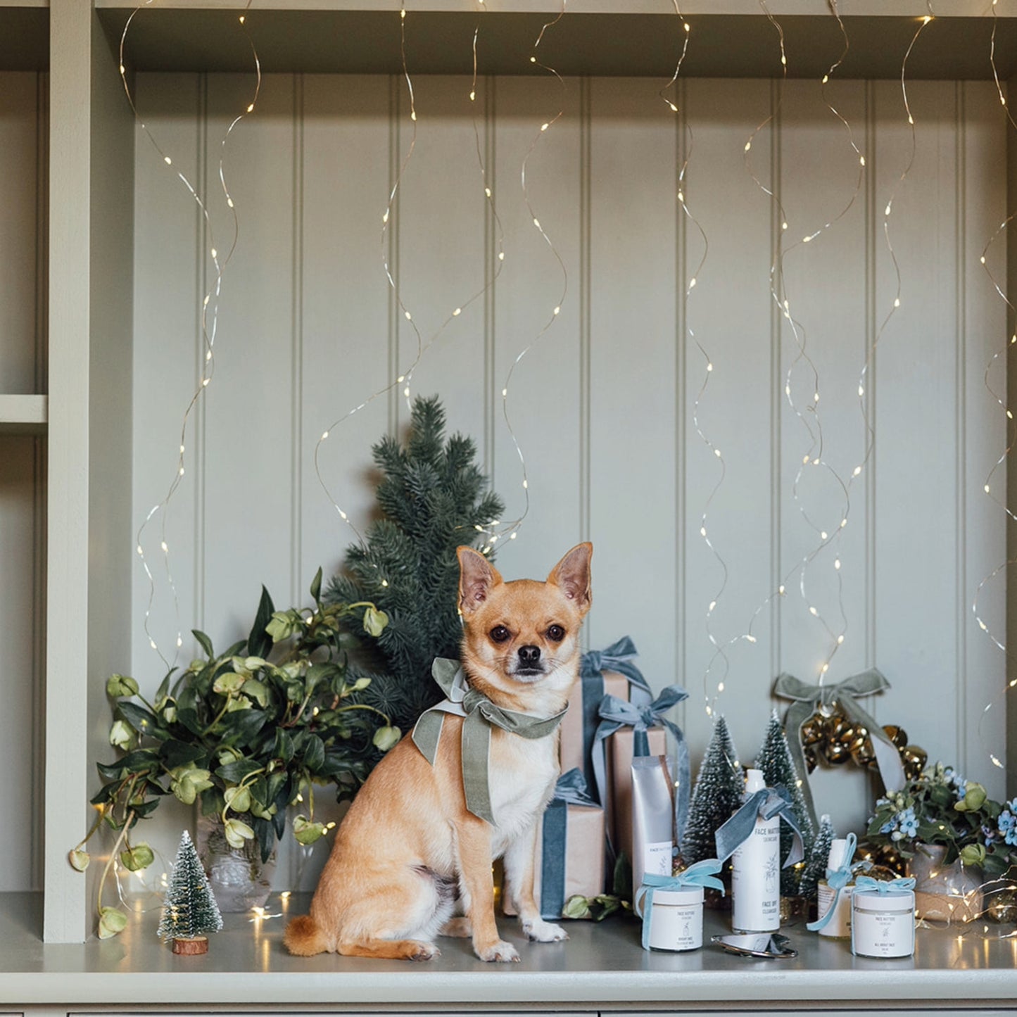 Radiance Reset Skincare Bundle