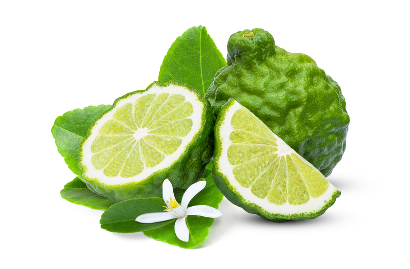 Bergamot