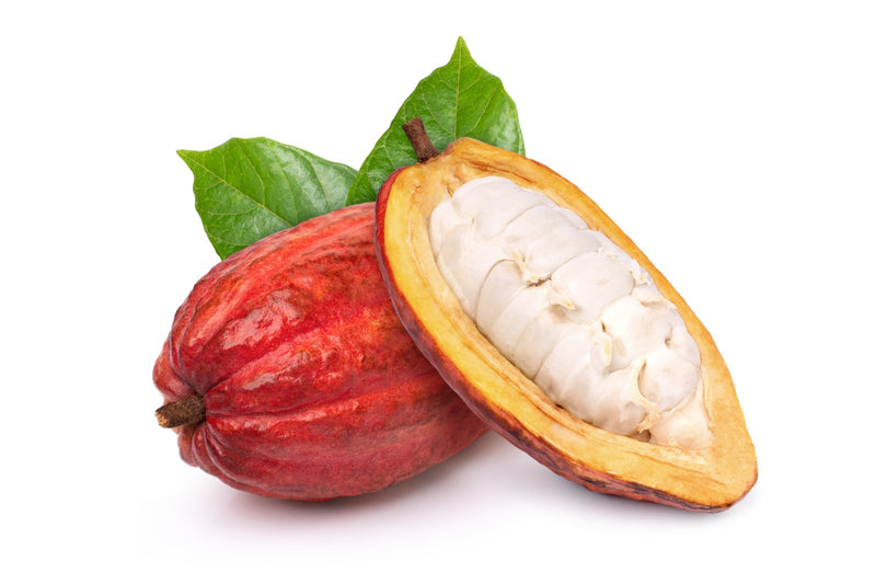 Cocoa Butter