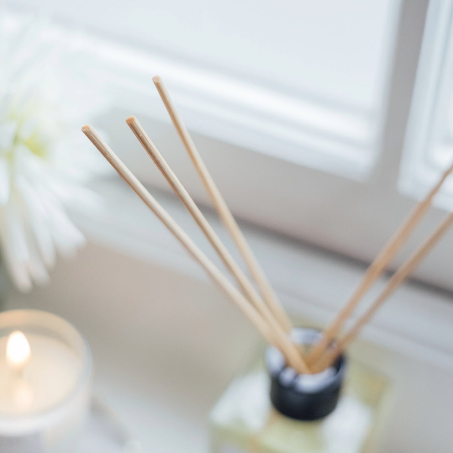 Revelation Reed Diffuser - Face Matters Skincare