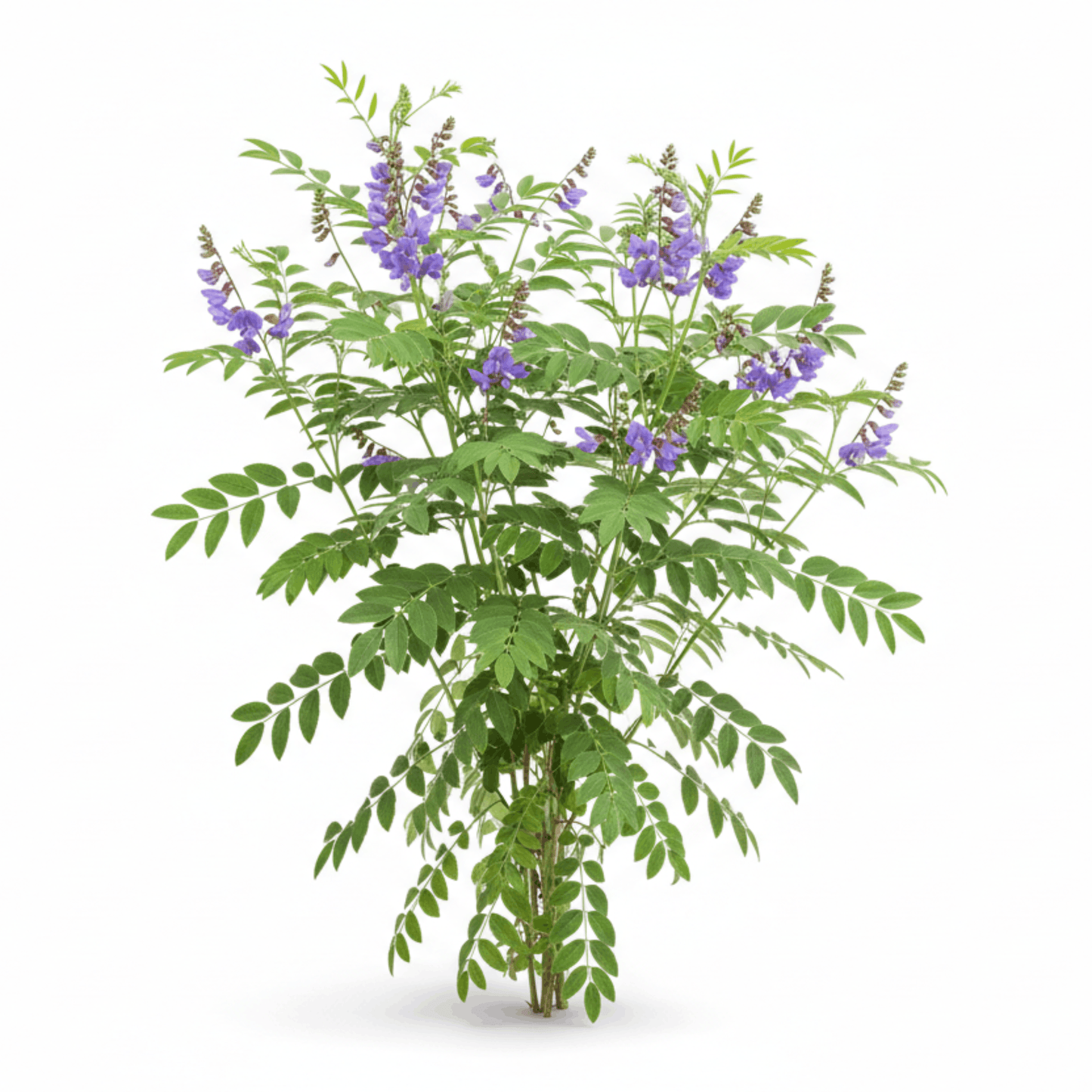 Saving Face Moisturising Cream